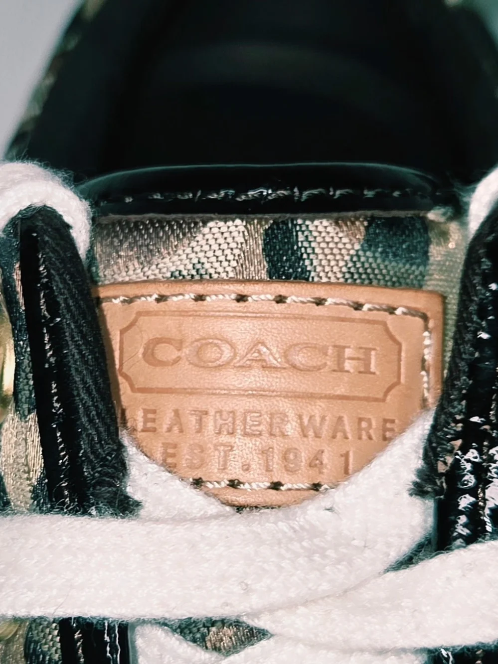 Coach description step